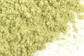 Olive leaf, powder Organic image