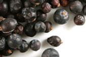 Juniper berry, whole Organic image