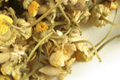 Chamomile, whole Organic image