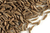 Caraway seed, whole image