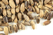 Milk thistle seed, whole image