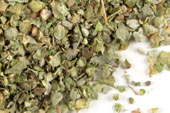 Marjoram, c/s image
