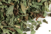 Lemon balm, c/s Organic image
