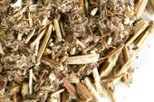 Mugwort herb, c/s Organic image