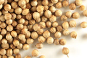 Coriander seed, whole image