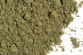 Peppermint leaf, powder Organic image