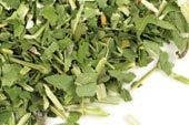 Skullcap herb, c/s Organic image